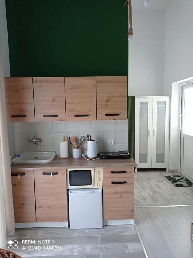 Studio Lesne لوبنيفيتسا المظهر الخارجي الصورة